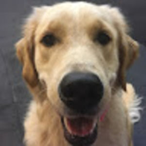 Meet your Posher, Janet